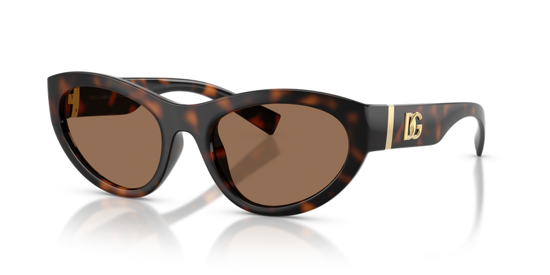 Dolce & Gabbana DG6207 in Havana - Alternate View
