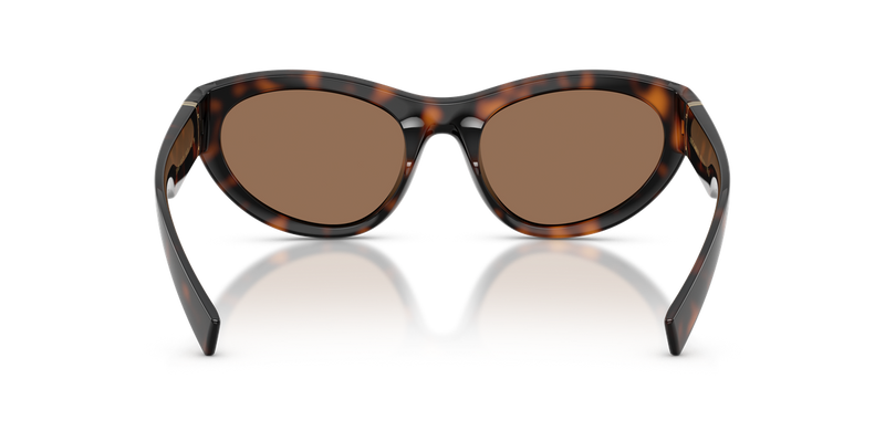 Dolce & Gabbana DG6207 in Havana - Alternate View