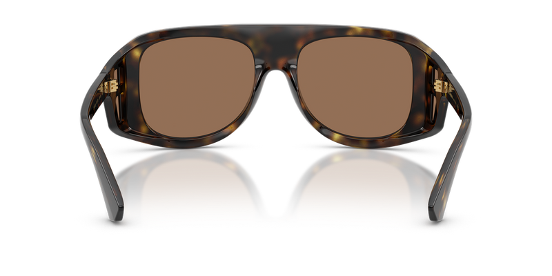 Dolce & Gabbana DG6208 in Havana / Dark Brown (502/73) - Alternate View