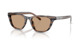 Striated Grey / Light Brown (203963)