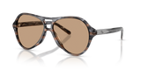 Striated Grey / Light Brown (203963)
