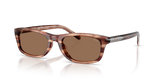 Striated Brown / Dark Brown (203673)