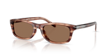 Striated Brown / Dark Brown (203673)
