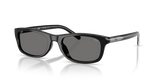 Solid Black / Dark Grey Polarized (206581)