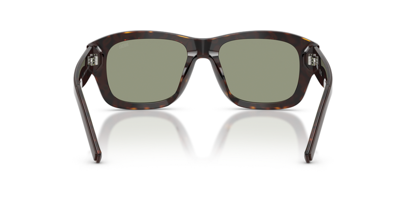 Diesel DL2020U in Brown - Alternate View