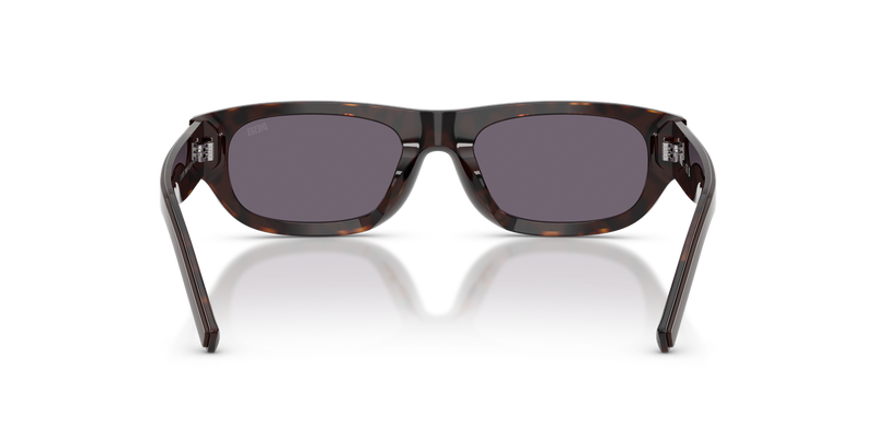 Diesel DL2022U in Brown - Alternate View