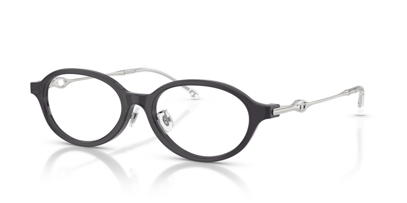 Diesel DL4030D in Transparent Dark Violet - Alternate View