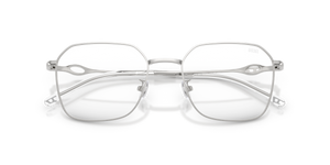 Shiny Silver / Demo Lens (1001)