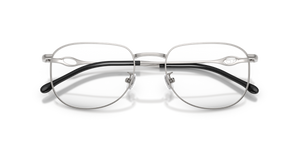 Sand Shiny Gunmetal / Demo Lens (1014)