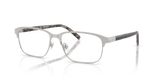 Shiny Silver / Demo Lens (1001)