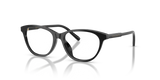 Black / Demo Lens (501)
