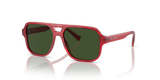Red / Dark Green (340971)