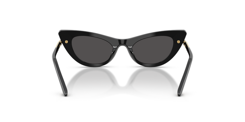 Dolce & Gabbana Kids 0DX4008 in Leo Brown On Black - Alternate View