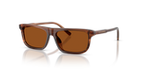 Transparent Brown/Striped Brown / Dark Brown (348173)