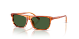 Transparent Camel/Striped Ginger / Dark Green (348371)
