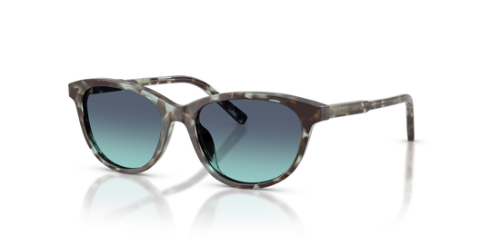 Dolce & Gabbana Kids 0DX4010 - Kids Sunglasses at Charm Optical Edmonton