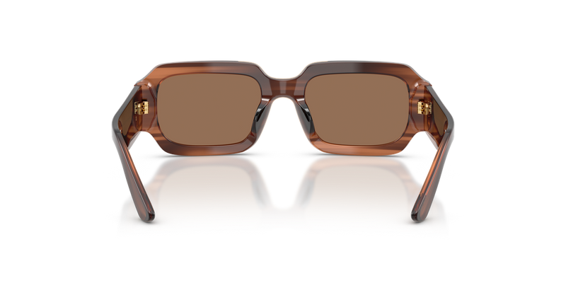 Dolce & Gabbana Kids 0DX4011 in Transparent Brown/Striped Brown - Temple Detail