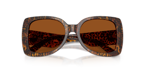 Leo Transparent / Dark Brown (347073)