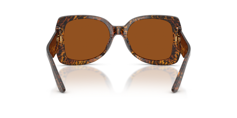Dolce & Gabbana Kids 0DX4012 in Leo Transparent - Alternate View