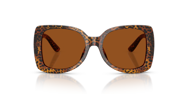Dolce & Gabbana Kids 0DX4012 in Leo Transparent - Alternate View