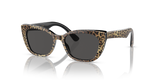 Leo Brown/Black / Dark Grey (316387)