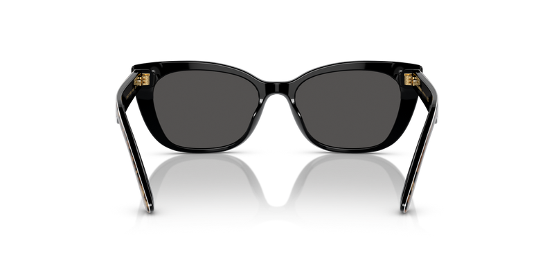 Dolce & Gabbana Kids 0DX4427 in Leo Brown/Black - Alternate View