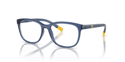 Dolce & Gabbana Kids 0DX5094 kids' glasses