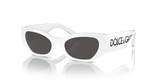 White / Dark Grey (331287)