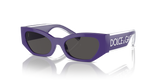Purple / Dark Grey (333587)