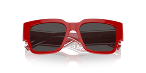Red / Dark Grey (308887)