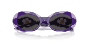 Purple / Dark Grey (333587)