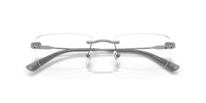 Shiny Gunmetal / Demo Lens (3010)