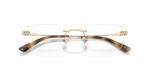 Shiny Pale Gold / Demo Lens (3013)