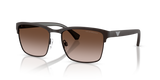 Matte Brown / Gradient Brown (339013)