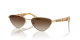 Shiny Pale Gold / Gradient Brown (301313)