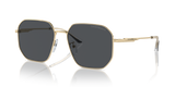 Shiny Pale Gold / Dark Grey (301387)