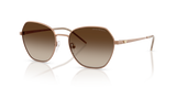 Matte Tundra / Brown Gradient (340013)