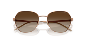 Matte Tundra / Brown Gradient (340013)