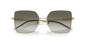 Shiny Pale Gold / Clear Gradient Dark Green (30132A)