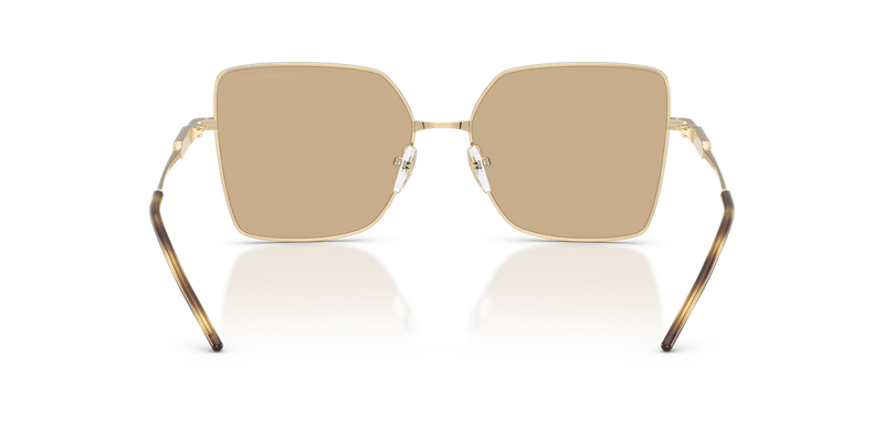 Emporio Armani EA2179 in Shiny Pale Gold - Temple Detail