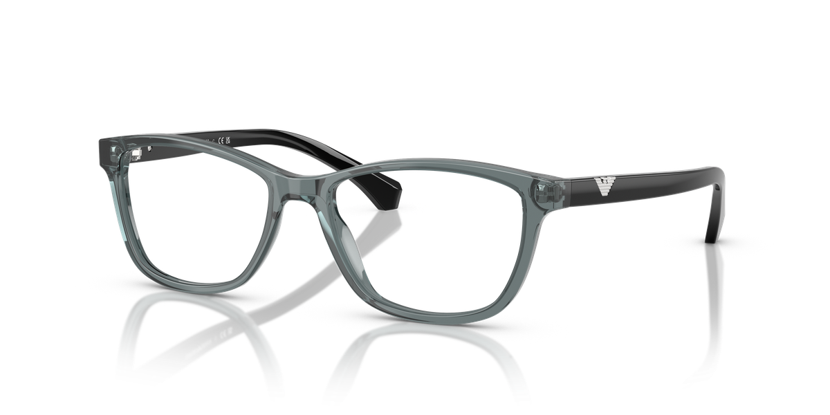 Emporio Armani EA3099