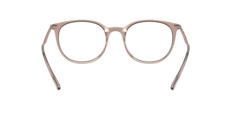 Emporio Armani EA3168 in Shiny Transparent Tundra - Alternate View