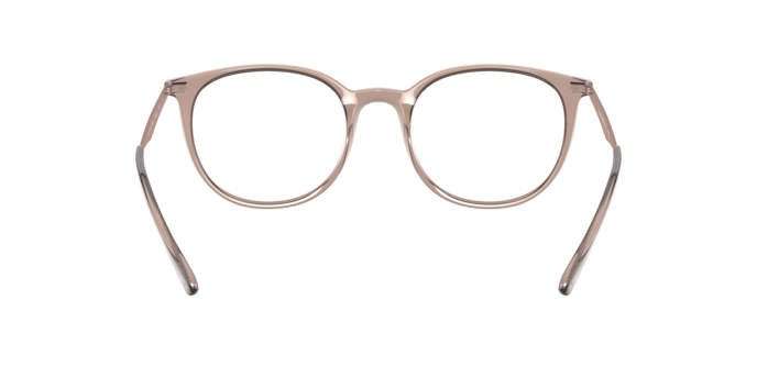 Emporio Armani EA3168 in Shiny Transparent Tundra - Alternate View