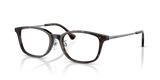Shiny Havana / Demo Lens (5026)