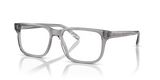 Shiny Transparent Grey / Demo Lens (5075)