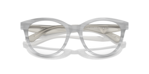 Shiny Striped Grey / Demo Lens (6114)
