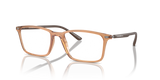 Shiny Transparent Brown / Demo Lens (6110)