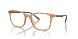 Shiny Transparent Brown / Demo Lens (6110)