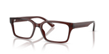 Transparent Brown / Demo Lens (6174)