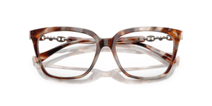 Shiny Havana Grey / Demo Lens (6195)
